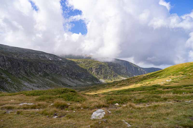 Landscape
