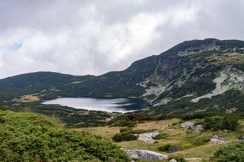 Landscape