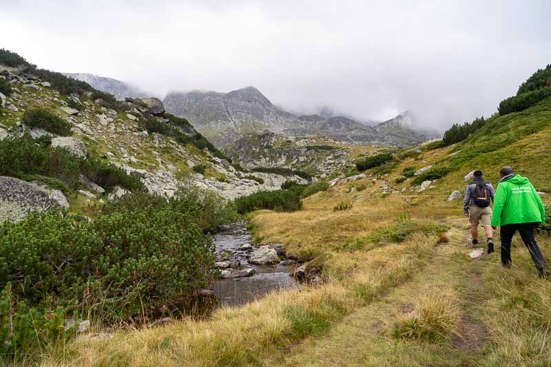 Landscape