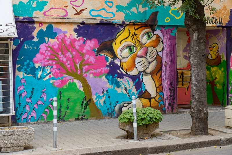 Street Scene Graffiti