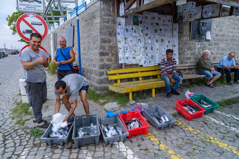 Fisherman with catch of the day from the Black Sea