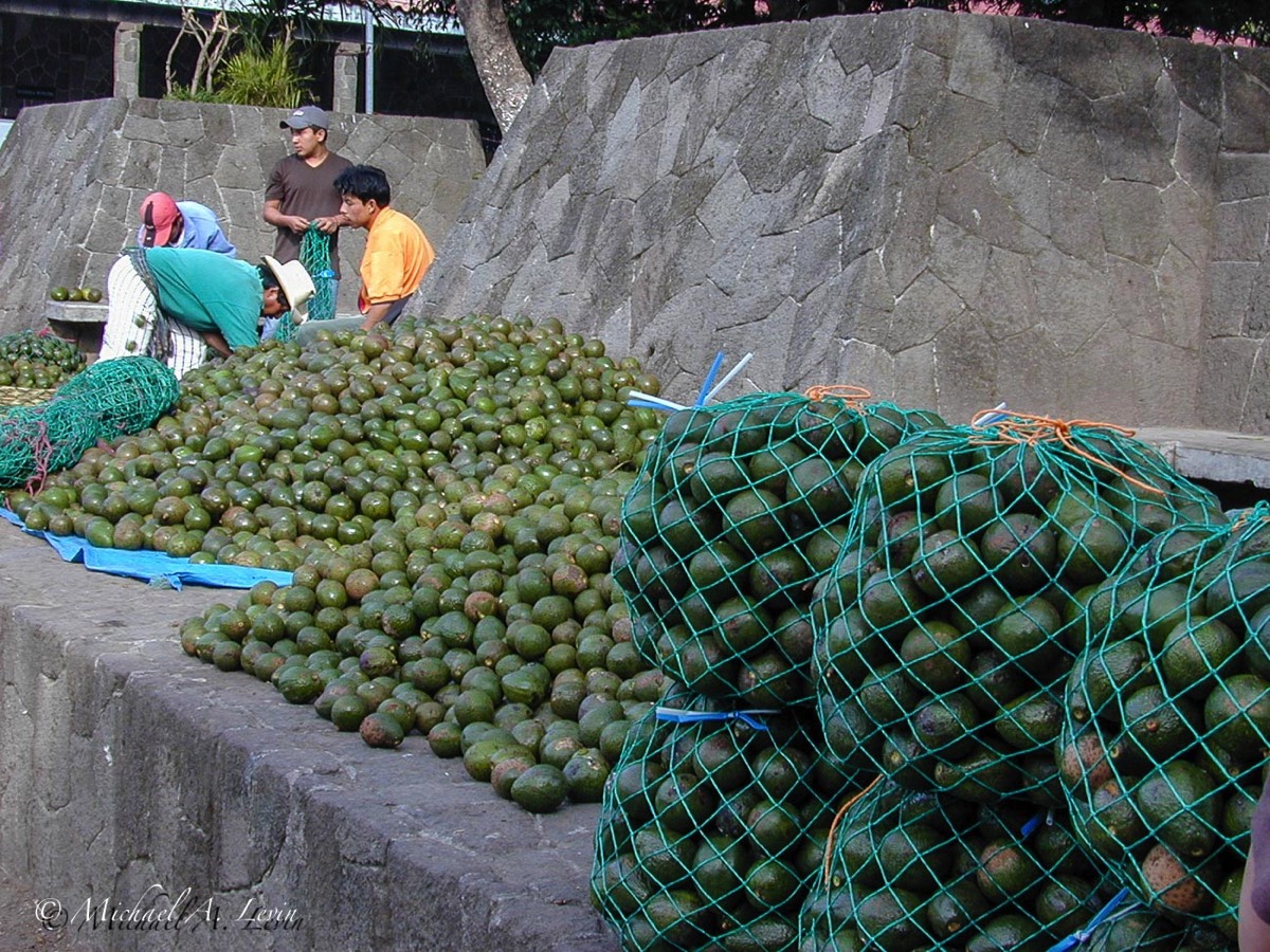 Santiago Atitlán Market