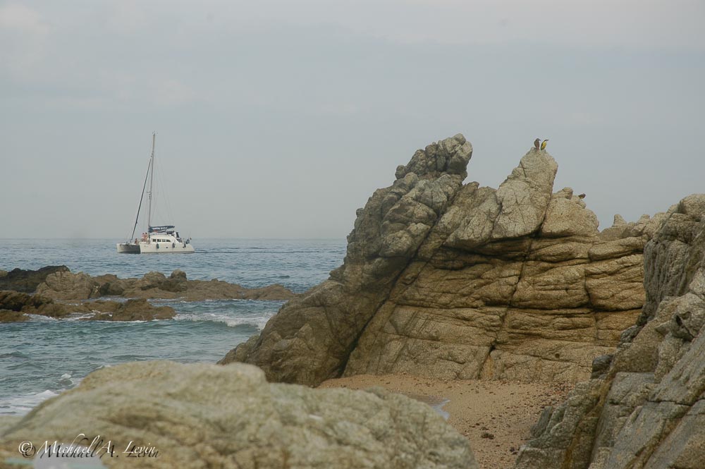 Stacks Image 86