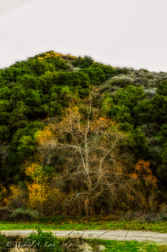 Stacks Image 142