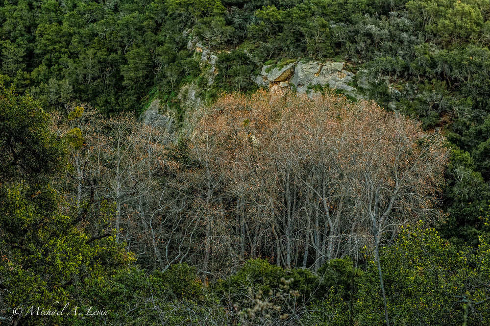 Stacks Image 146