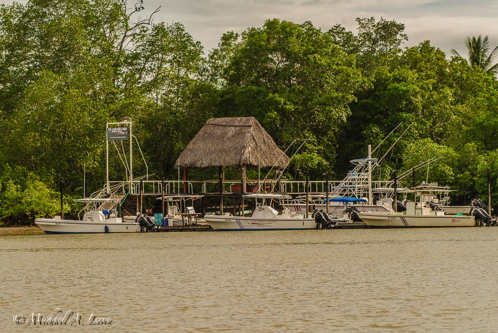 Stacks Image 90