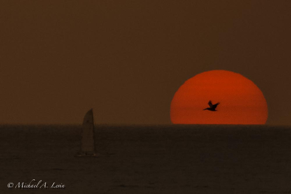 Stacks Image 94