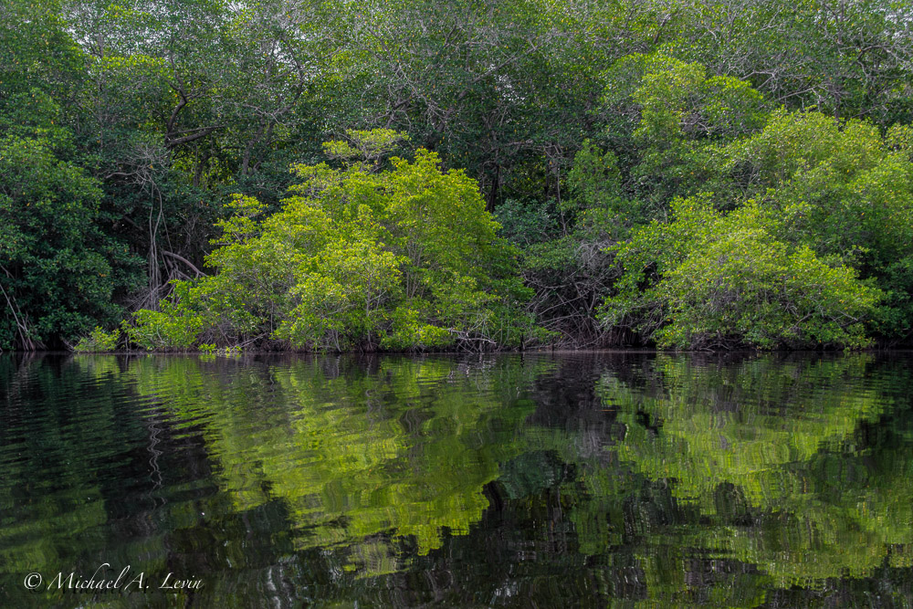 Stacks Image 94