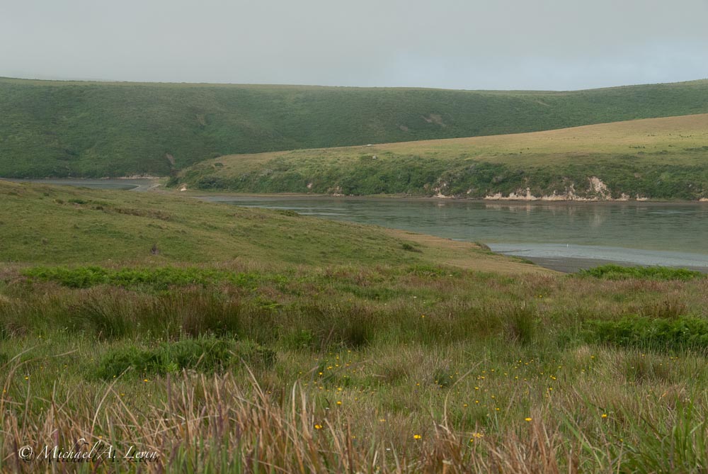 Stacks Image 142
