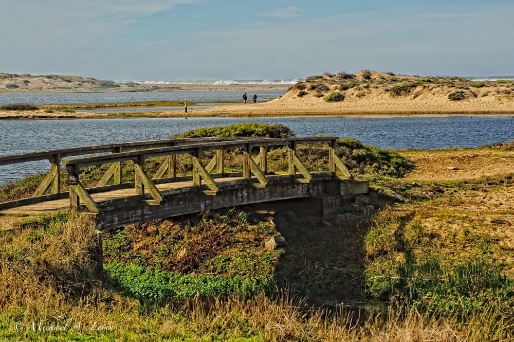 Stacks Image 140