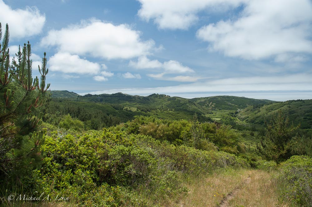 Trailscape