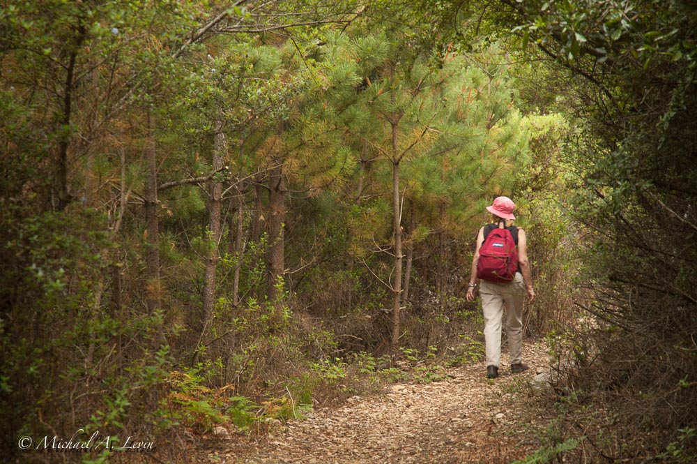 Trailscape