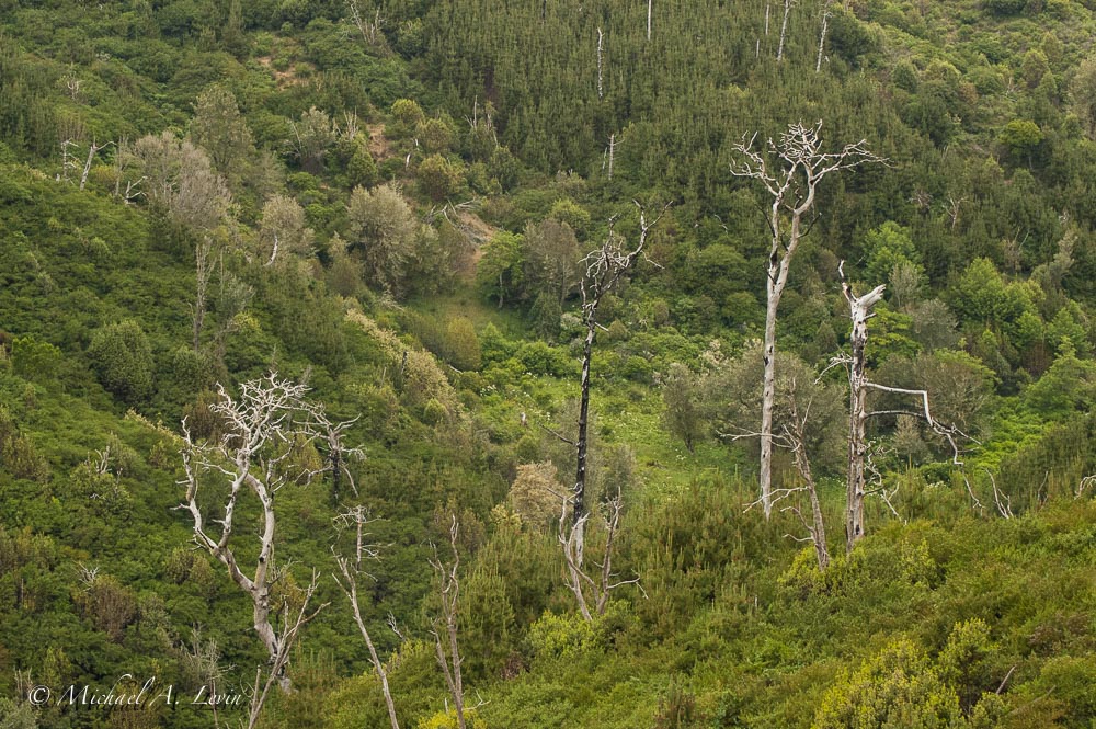 Stacks Image 142