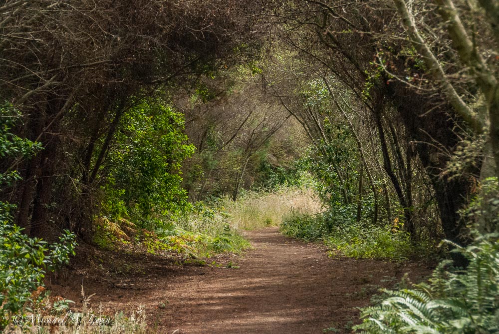 Trailscape