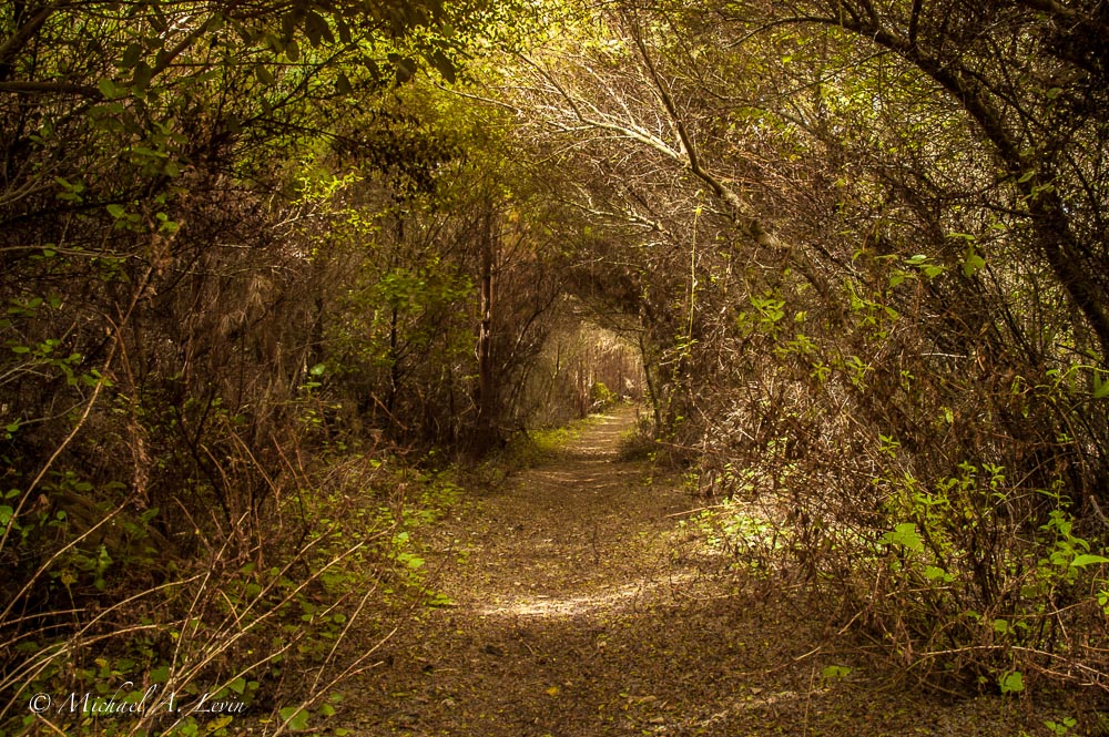 Trailscape
