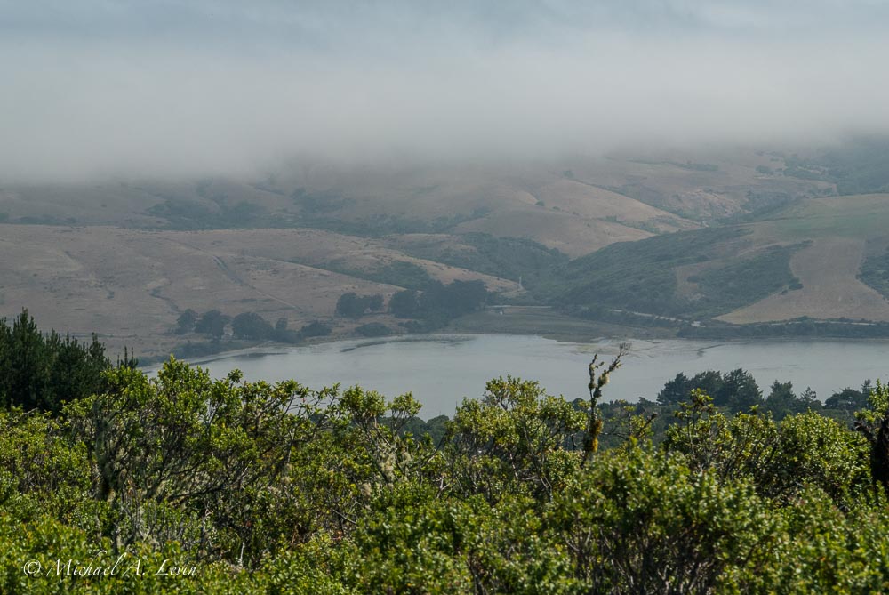 Foggy Landscape towards Tomales Bay