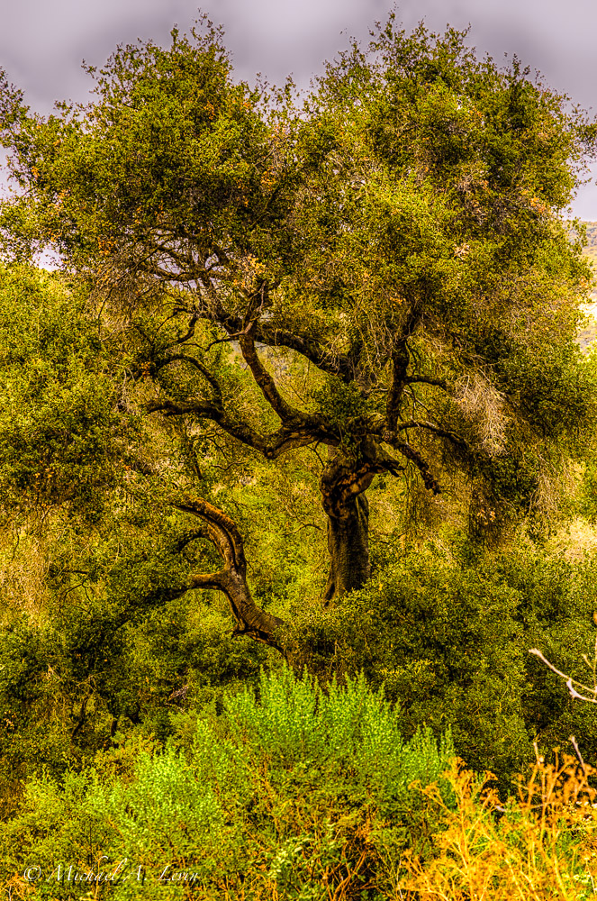 Stacks Image 158
