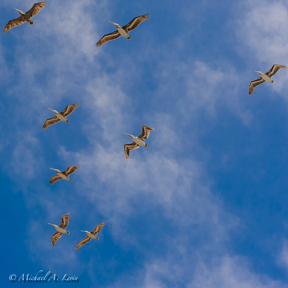 Stacks Image 138