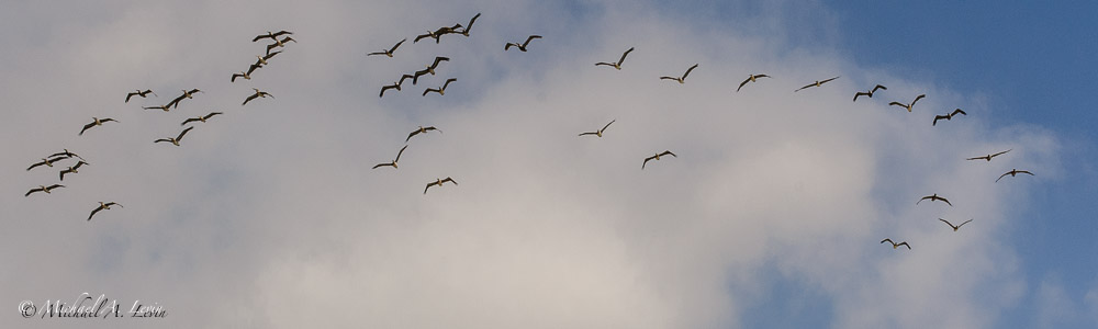 Stacks Image 142