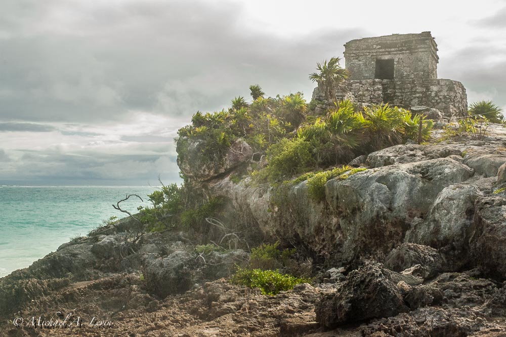 Stacks Image 86